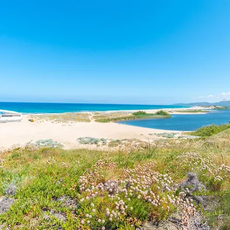 Avocado By Interhome *